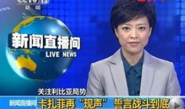 怀宁媒体爆料事件最新情况,真相逐步浮出水面